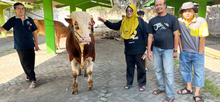 SMK Negeri 1 Kota Kediri Rayakan Idul Adha 1446 H dengan Sembelih Tiga Ekor Sapi SMK Negeri 1 Kota Kediri Rayakan Idul Adha 1446 H dengan Sembelih Tiga Ekor Sapi